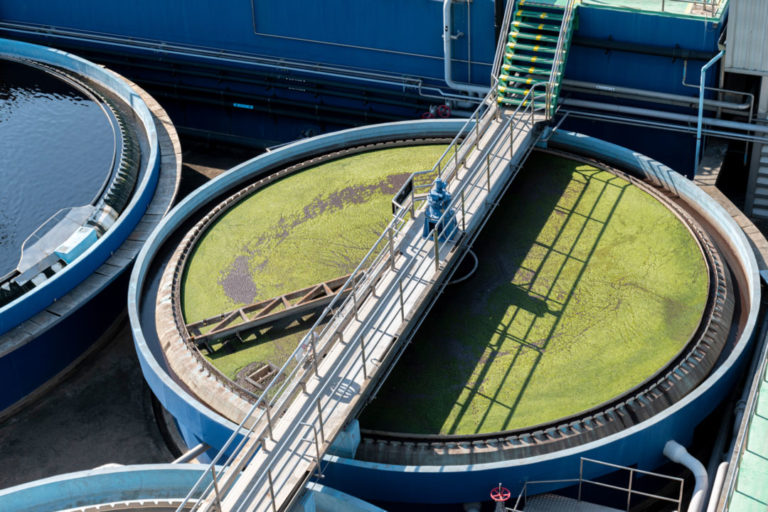 AdobeStock_435103087-1080