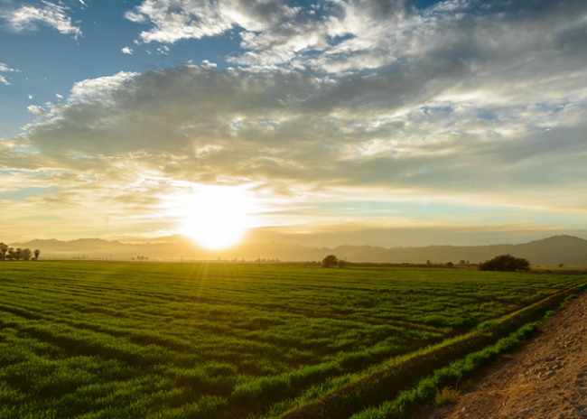 rapids case study featured7