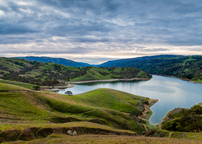 rapids case study featured8